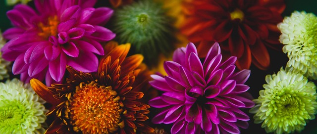 在职业体育 在职业体育