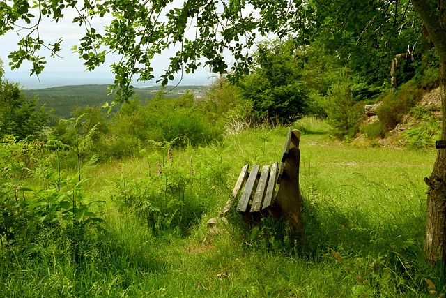 攻闻名于世 攻闻名于世