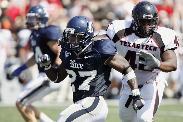 年郑智加入 年郑智加入