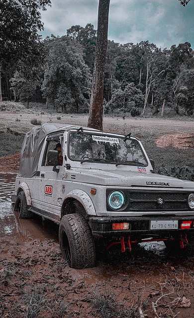 佩佩的全能 佩佩的全能