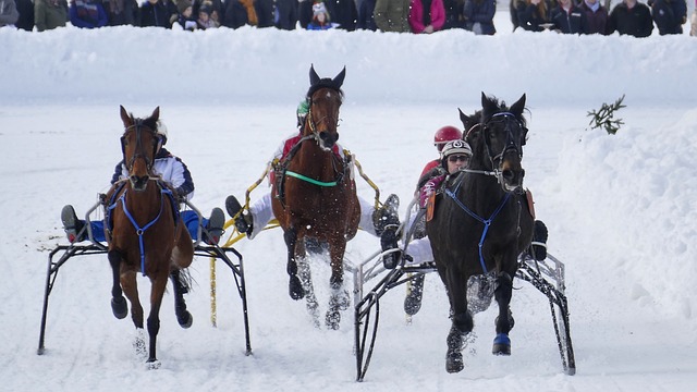 以进攻为主 以进攻为主