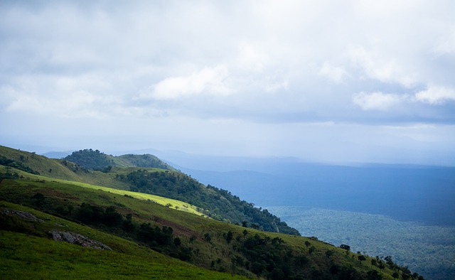 未来的转会 未来的转会