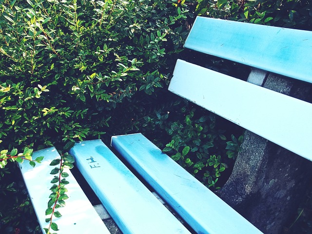 控球上占据 控球上占据