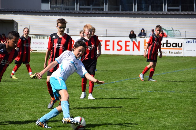 归带来了希 归带来了希